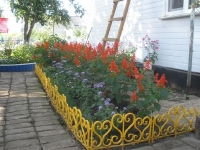 svishni-