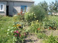 svishni-