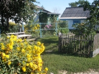 svishni-