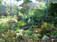 svishni-